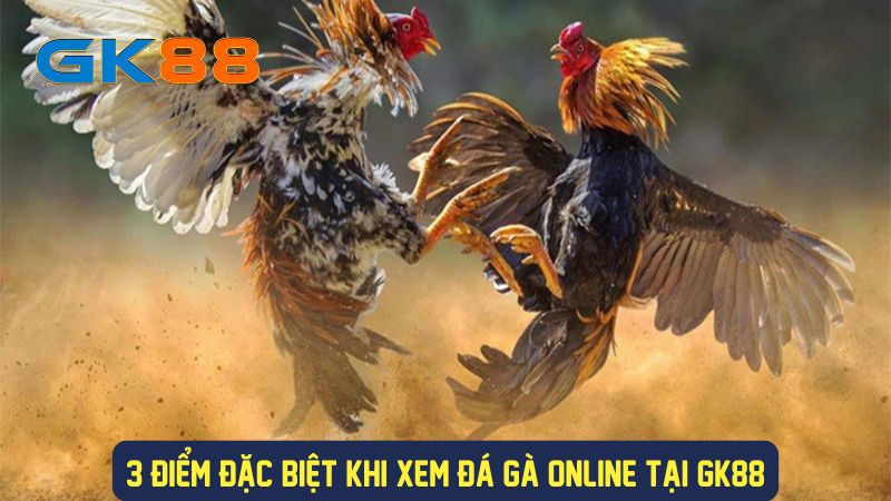 Điểm nổi bật của đá gà trực tuyến